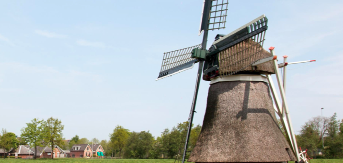 friese molen