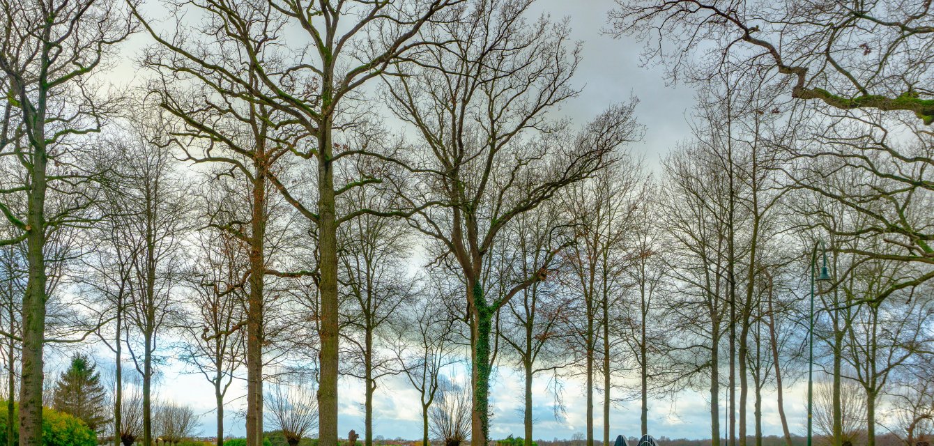 's Graveland Boekesteyn view, Noord Holland, The Netherlands